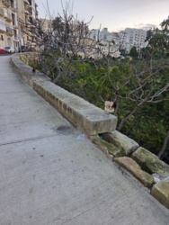 37674899-8393-4ce1-89e1-70e53d9b59f4