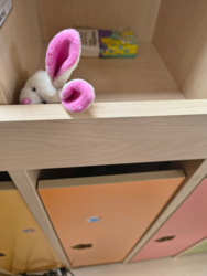 59b7c4f5-3aab-4b43-bb6f-bd20b88a4480