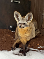 d78f38a6-330b-4609-b71c-5697d1e63c0c