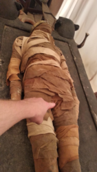 31e2115c-c099-46c7-b2e7-952c26294810