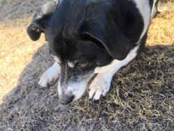 d8ece3da-7582-445c-a223-c63b5d4c27ca