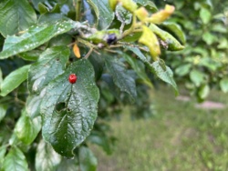 fc70a9cd-074b-4708-af8d-523a5f576812