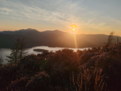 f61e687c-62f8-4e3f-b5d6-f940642fdb60