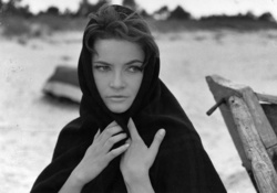 10fc6374-0625-490b-afb3-9344d45baffa