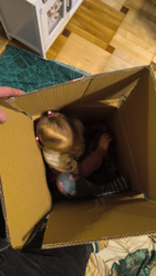 991c70d7-b76d-4de1-b1fb-ab7543ecd931