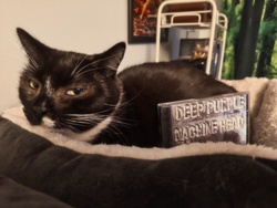 b9634174-6a14-4dfd-b067-43788e0ba057