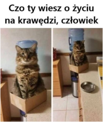 4044a26b-b56c-44ea-a3e5-1c5b904a929e