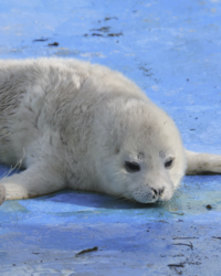 dd8214bd-4999-4b8e-b524-b69b5186dcff