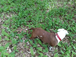 b650cc72-2b71-4af1-9313-7ddd197fde1b