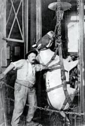 32cfb316-deca-4738-9f2f-70560598f683