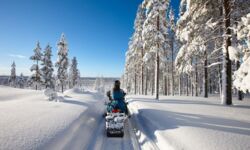 Lapońska prowincja chce ściągnąć telepracowników by… przetrwać