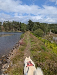 6b979e28-6213-4ce4-be40-3bb48b4fd6c2