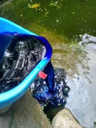 33b032d8-e100-4b7c-a5c5-ad7ea7c229c4