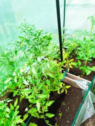 2585d4f6-abc2-41cc-8073-cc6de28bddc9