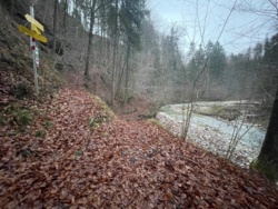 21326a6b-02a5-469c-b547-3676ffa9e4cf