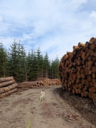 c1c1cb76-2674-438b-8f0c-d5085843c5e3