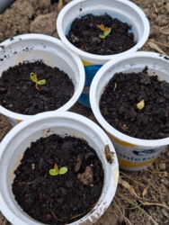 8f17d720-dd91-4c2e-9025-a754ebd21009