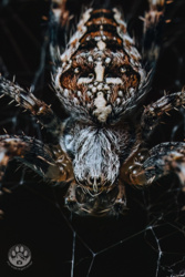 1a56d653-8f0d-456b-8b5e-b801920c1d3e