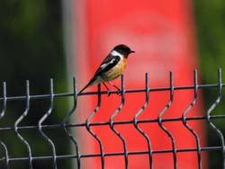 3b5c07b0-6bdf-4d2d-839e-a5676242e78a