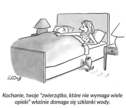 800aa51b-9402-4731-8371-26c4cb5584ac