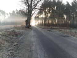 670065e1-03fb-4b4a-838d-12992c038e1a