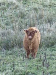 8c899a2d-95e9-44d5-8b5e-431967b4fde5