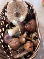 2a9c7f99-fc2a-4a6e-8a6b-fe050a356857