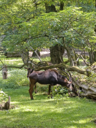 84e4f7c9-72c5-4c5c-930b-e0a980dad581