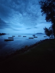 1e7089df-8f0a-4a97-a0c8-695ab07a52aa