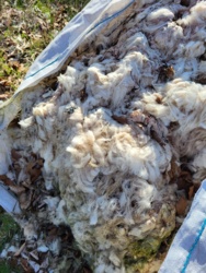 0da57c0d-3f70-4746-a061-b213d1c7420a