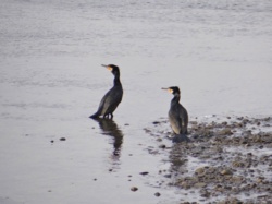 530b9a78-491f-4554-aa61-0b97c5c0bad0