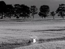 4d97fbf6-8f51-4854-8d5d-13421ae2f33b