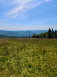 201687d4-f230-4227-8d3f-b3bde6e8919b