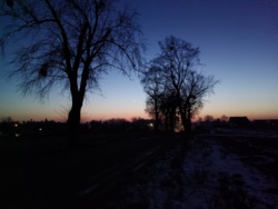 2d603b4d-6bce-4f47-8509-4314df2c8ee4