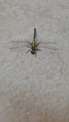 45bdb270-fb0d-4343-a762-ff060f05ad34