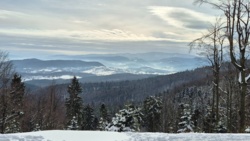 12c09731-bbfc-43b3-b4aa-b3d4593cac97