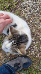 bc2989cf-72dc-4fe2-ad0e-1caaf7f56323