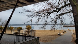 4c8fe776-8c8e-4c28-9d49-072af4778007