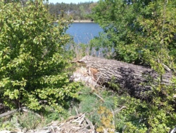 790c792c-6c14-49ba-b28c-42bdba57194a