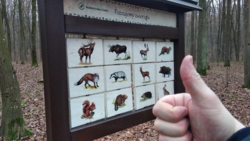 37509075-7d4e-4b8a-9783-f79af86d6bc3