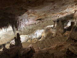 ece017c1-e7fc-4b16-9a1a-dabececc0115