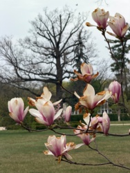 8f29caec-afd5-4f0c-b15e-ade02358e219