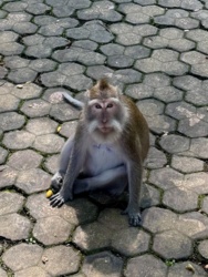 52f38bf4-fd84-4a33-abf5-f3cf1175e30a