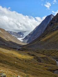 f09d0243-b7ba-4d8a-be1e-a500afa8b010