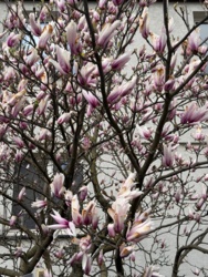 5d6356fa-0489-4f57-818f-11f914881c30