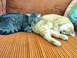 4bc3f98f-8a2e-4a08-802b-f262996797de