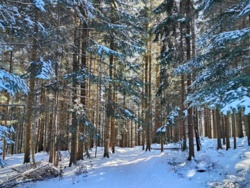 4dcbc33a-b687-4254-a05d-a2410e826051