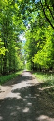 f47a3074-0f49-41ff-84ca-dee049bc7e8e