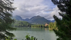 502c4222-bc42-41d3-87f3-03b99cfb332a