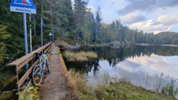 d3c96e93-f678-497f-bd72-0783608ecc11